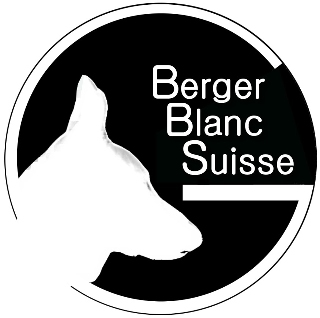 Logo BBSG